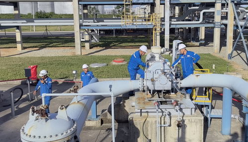 直通国家管网 广东石化成品油管输正式启运，谱写能源输送新篇章